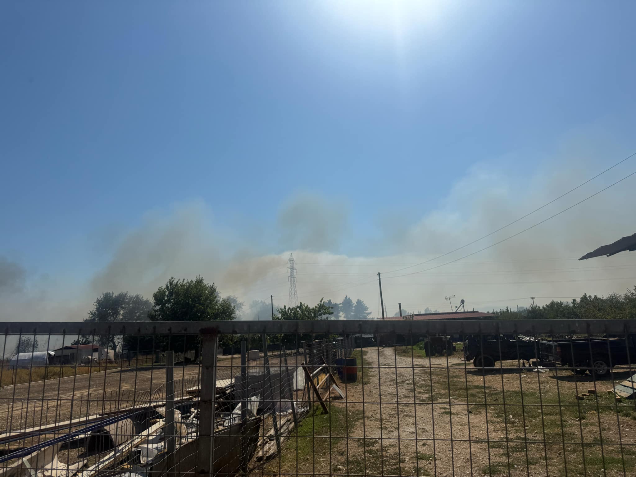 fotia agrinio (3)