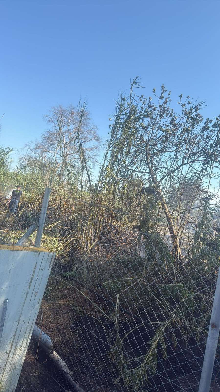 fotia agrinio (4)