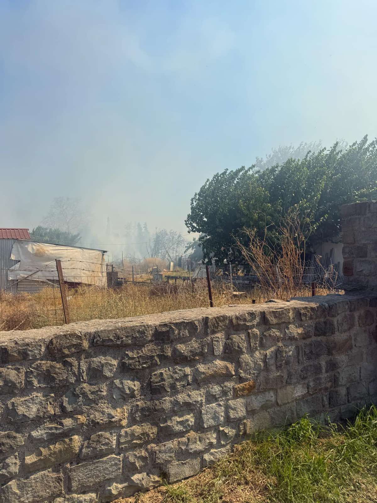 fotia agrinio (5)