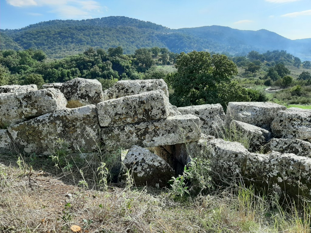 koronta (1)