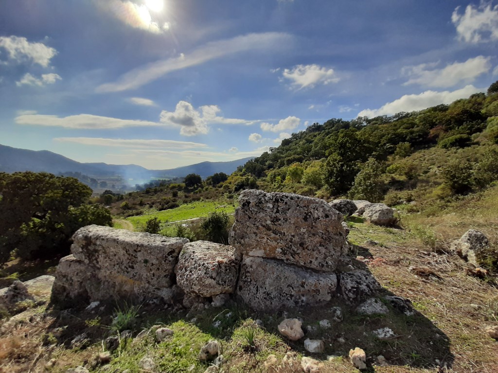 koronta (3)
