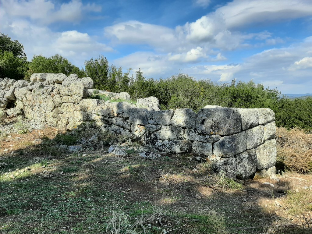 koronta (4)