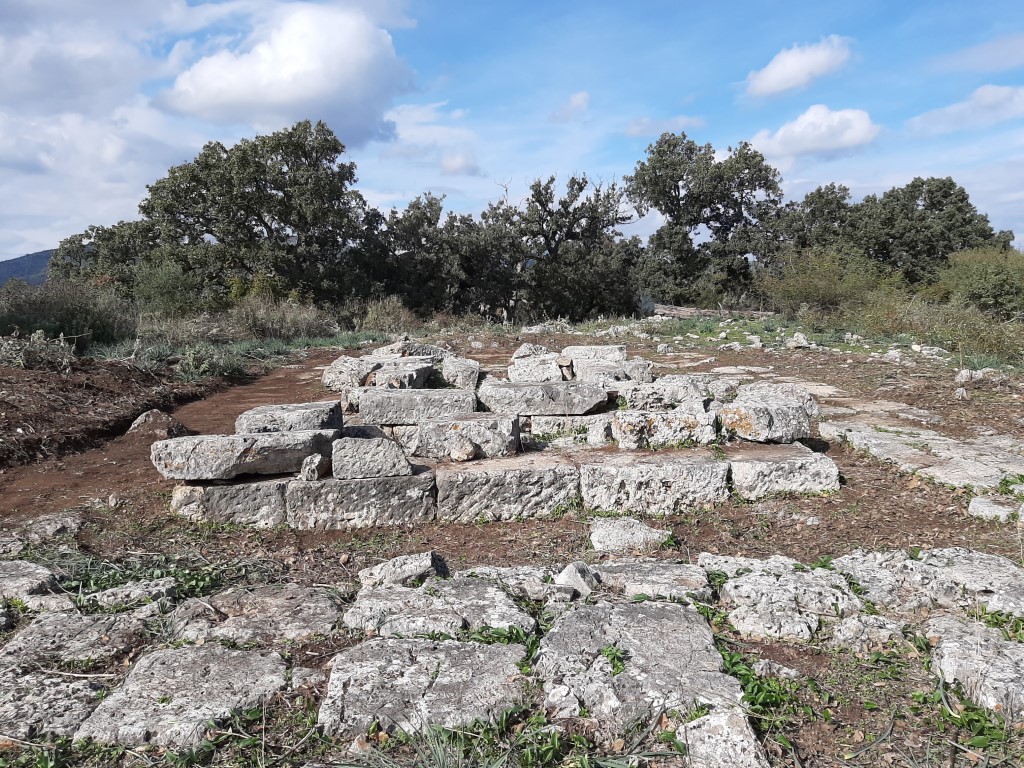 koronta (5)