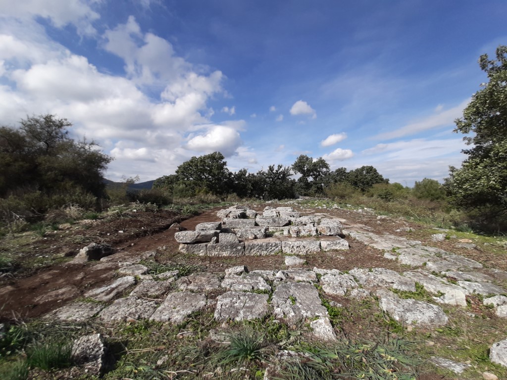 koronta (6)