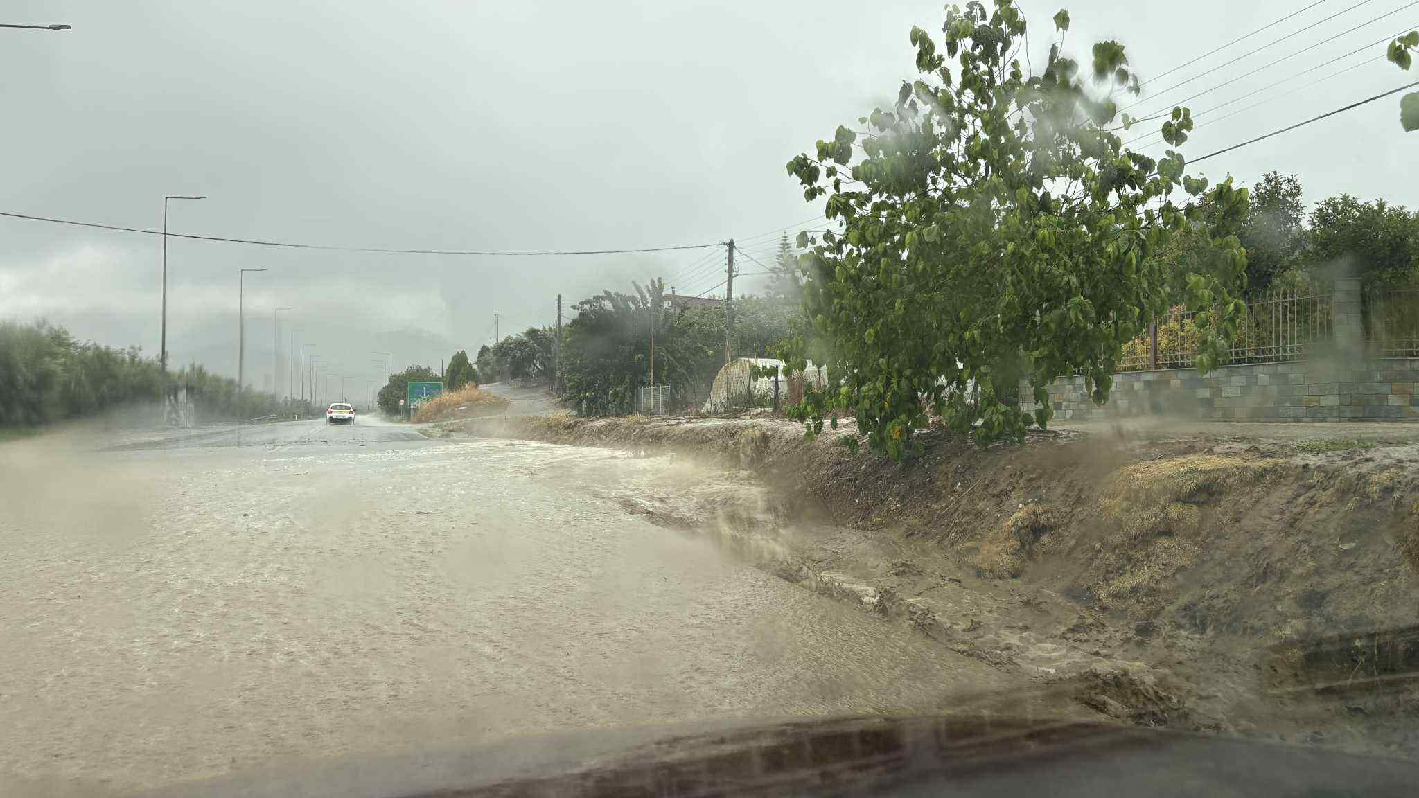 xaliki (2)