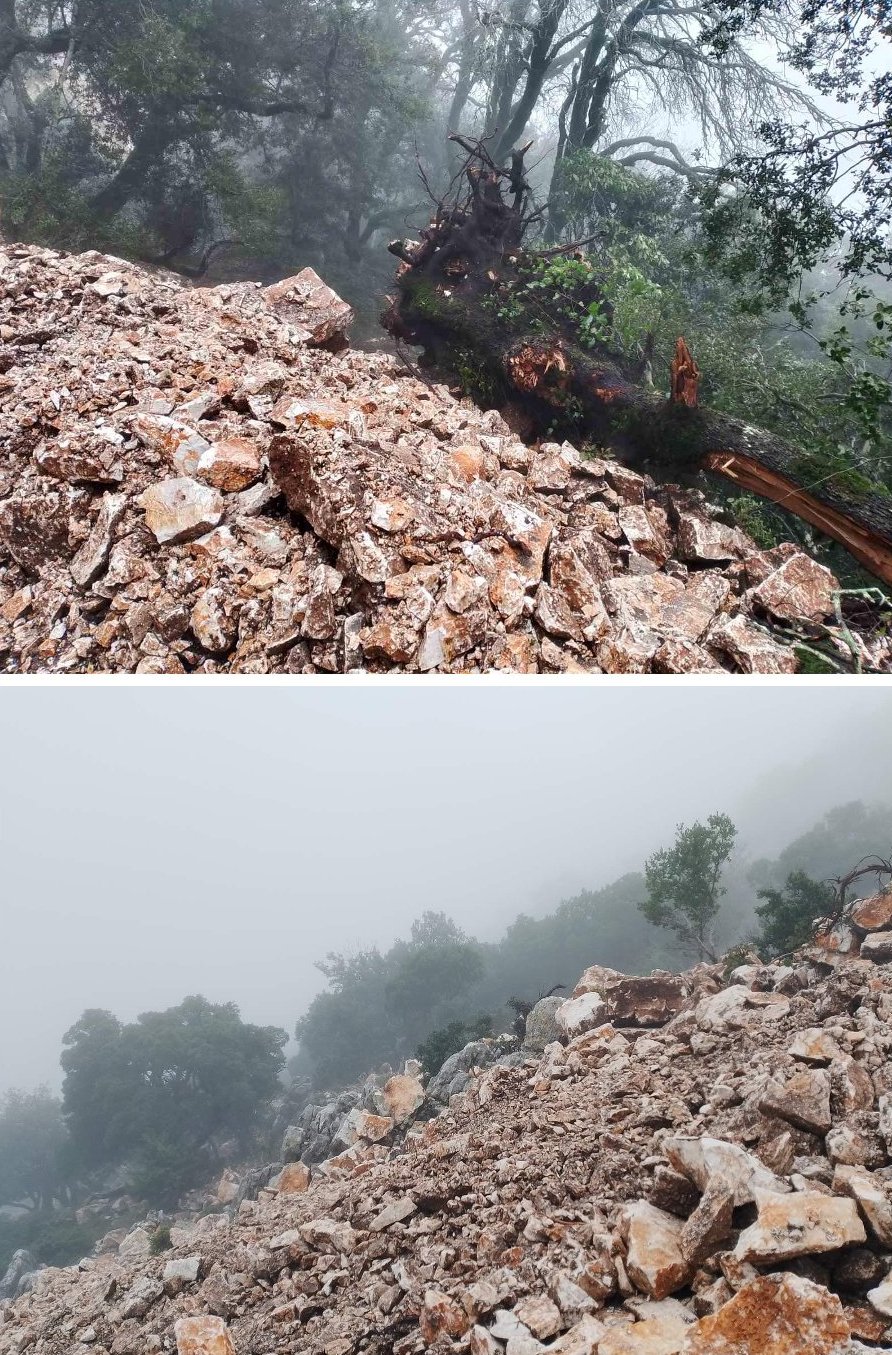 aria akarnanika kompoti (1)