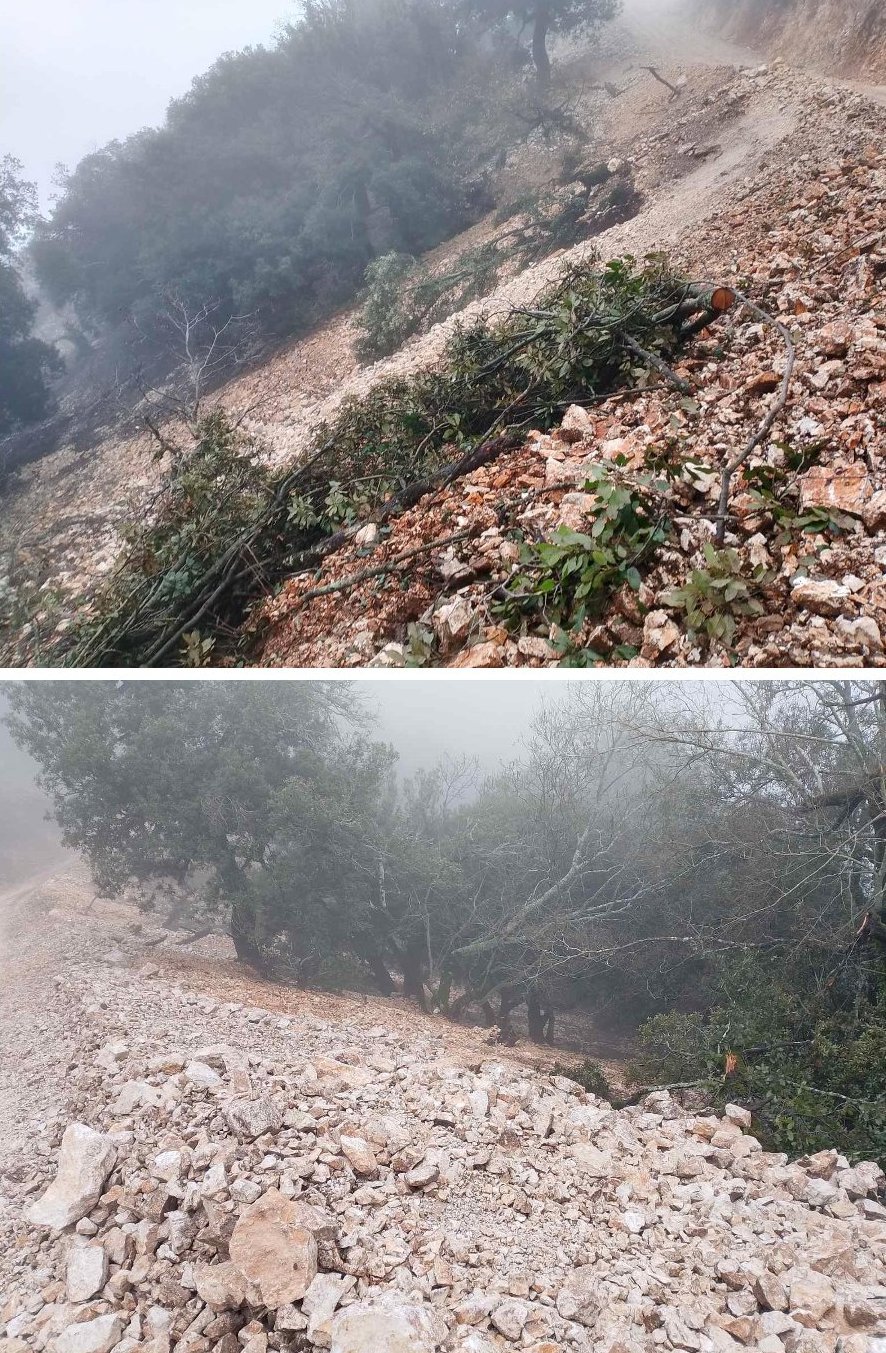 aria akarnanika kompoti (16)