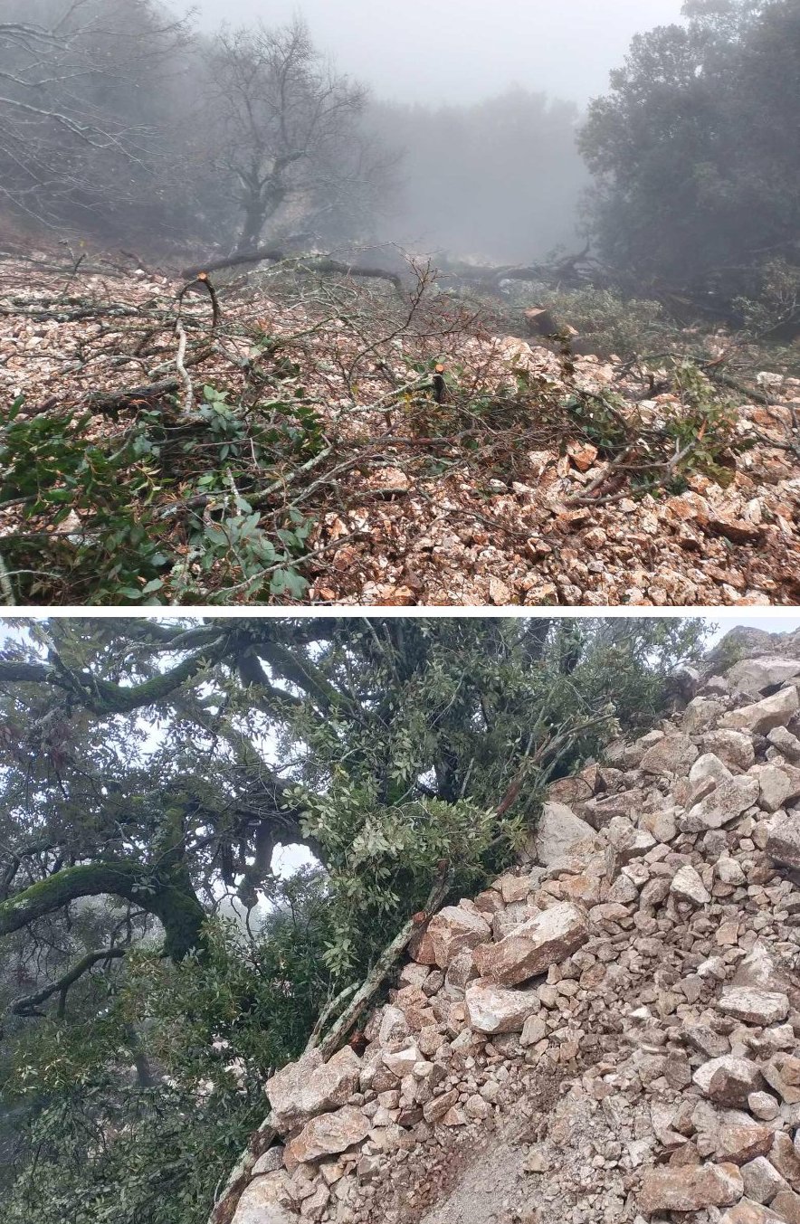 aria akarnanika kompoti (17)