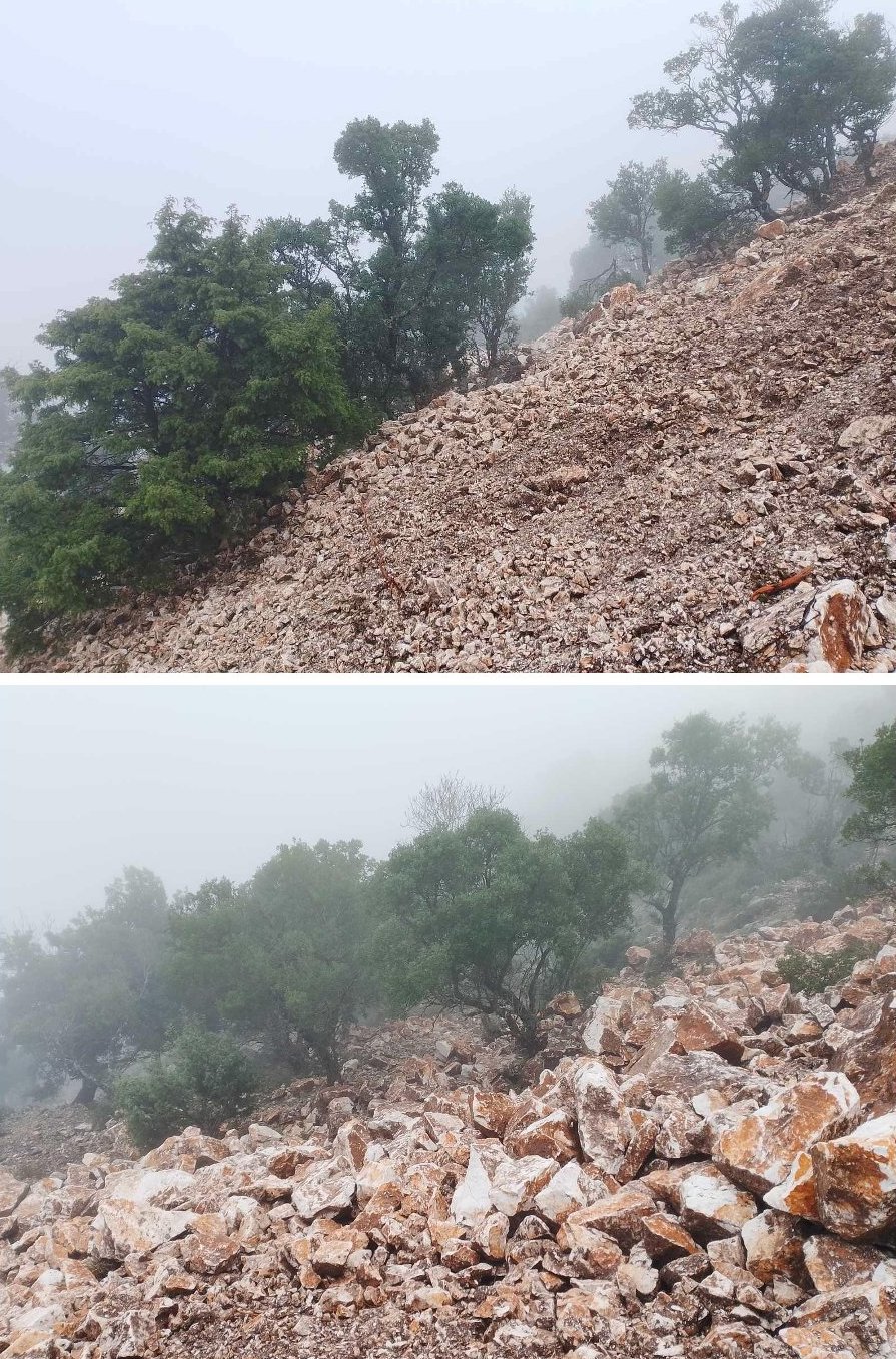 aria akarnanika kompoti (2)