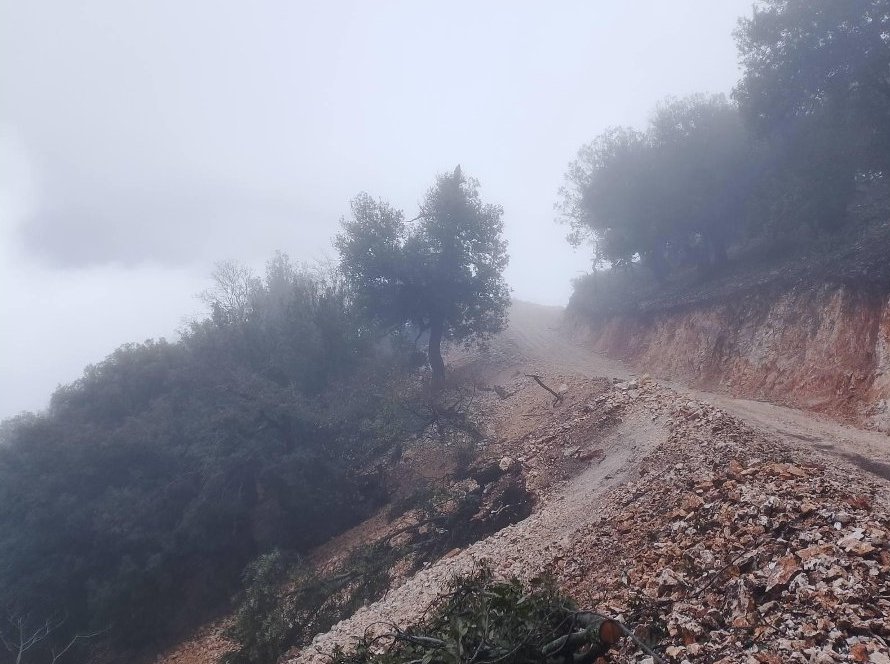 aria akarnanika kompoti (7)