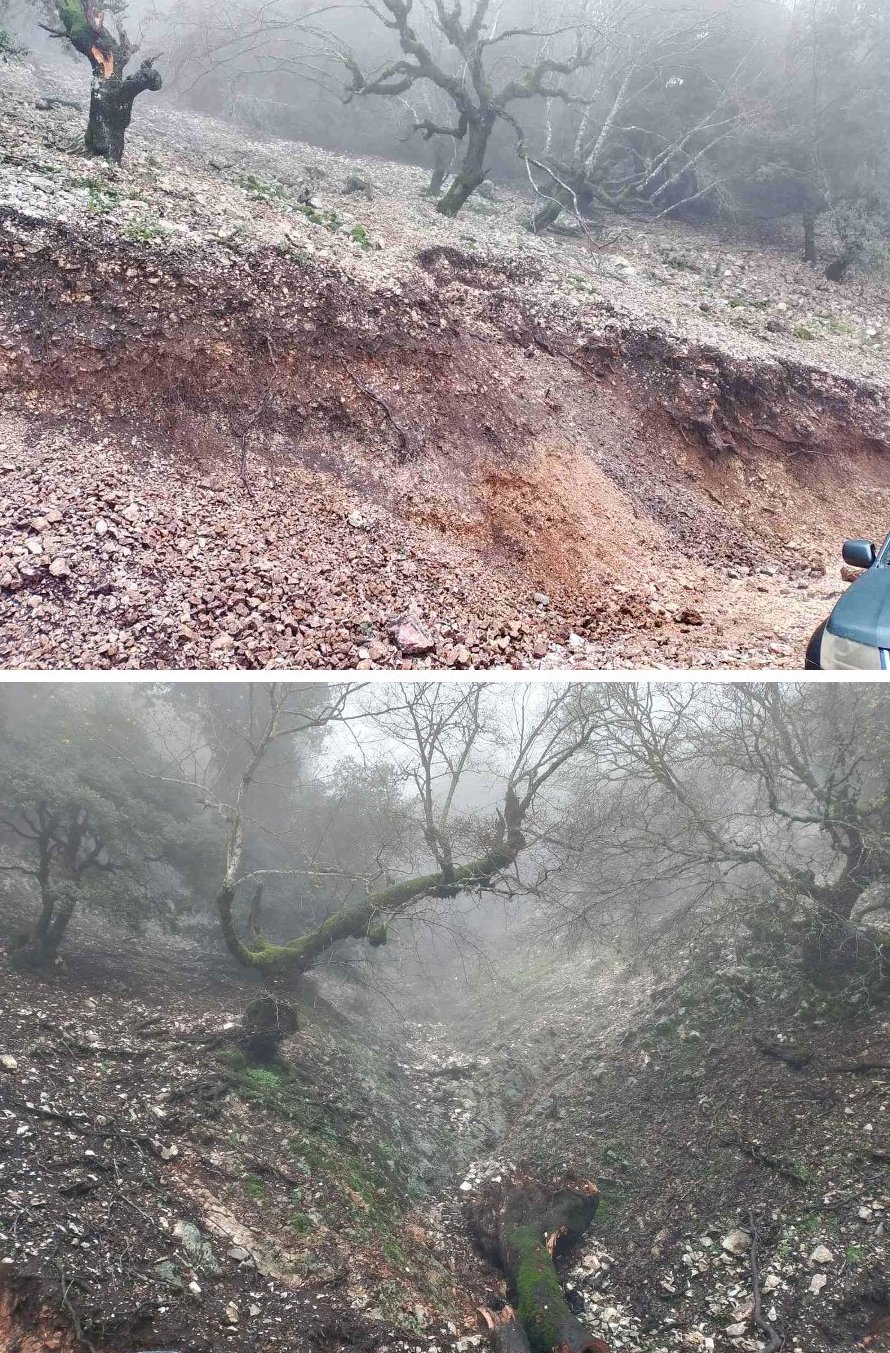 aria akarnanika kompoti (9)